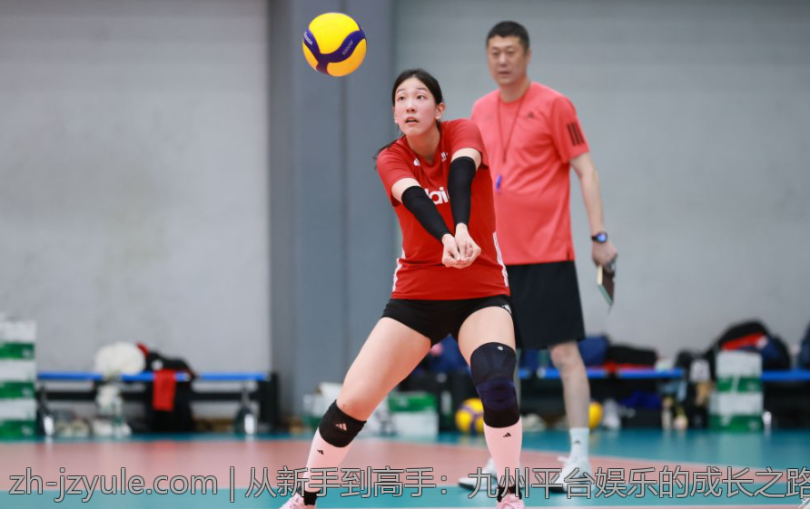 从新手到高手：九州平台娱乐的成长之路